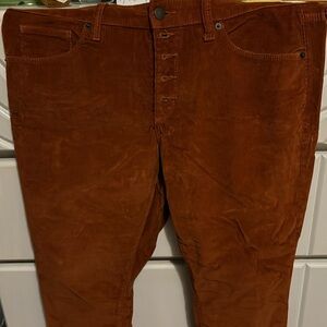 Universal Thread (Target Brand) Velvet Burnt Orange Pants